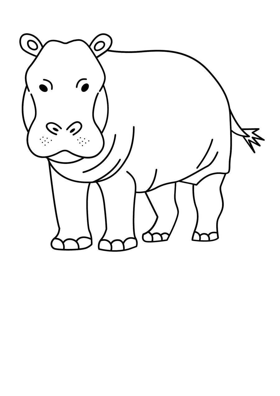 Hippo