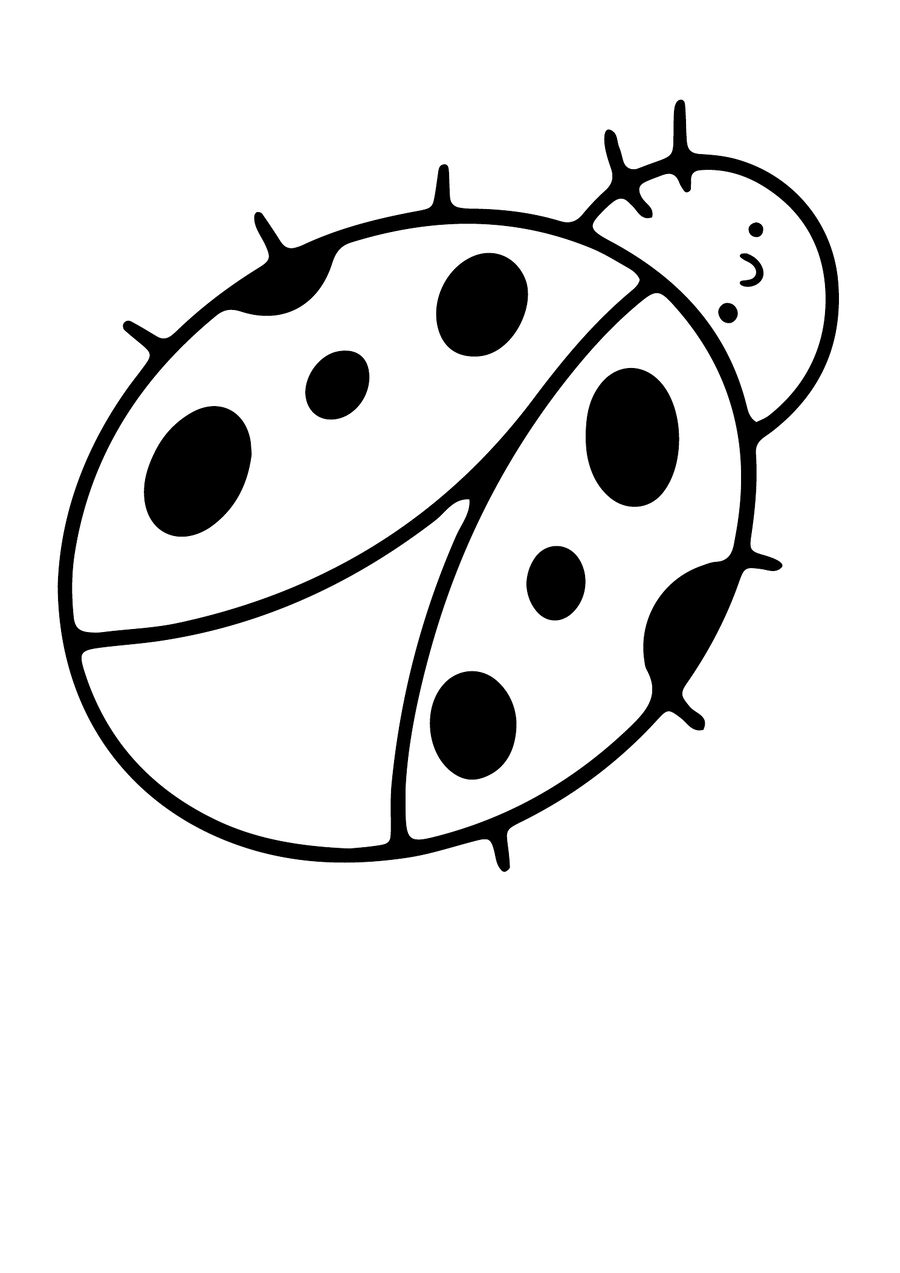 Ladybug