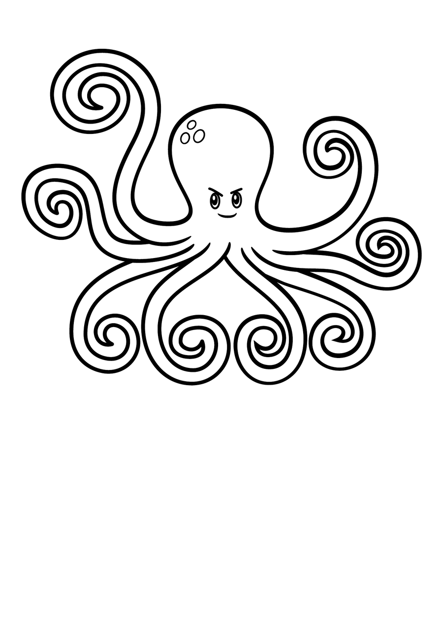 Octopus