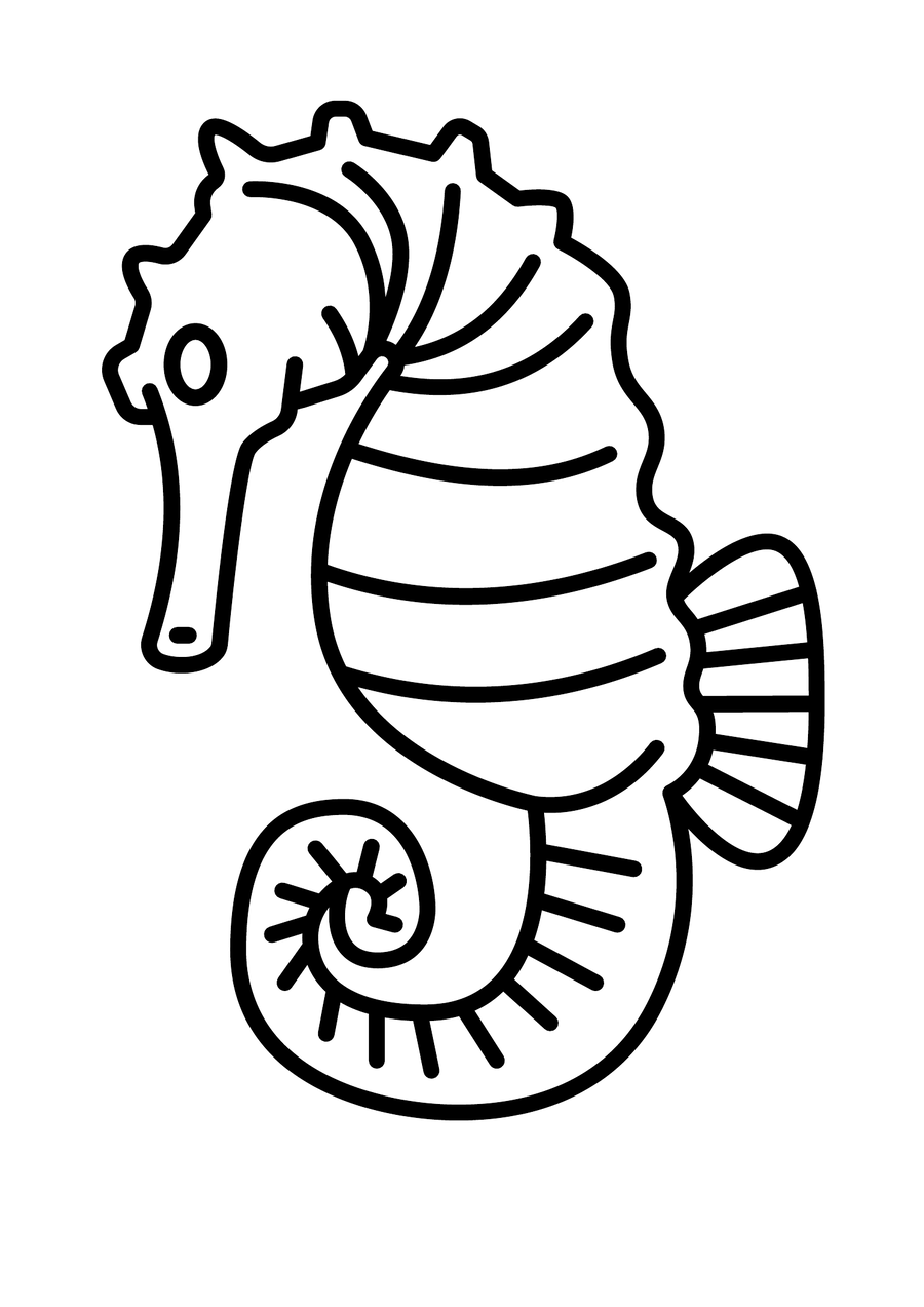 Seahorse