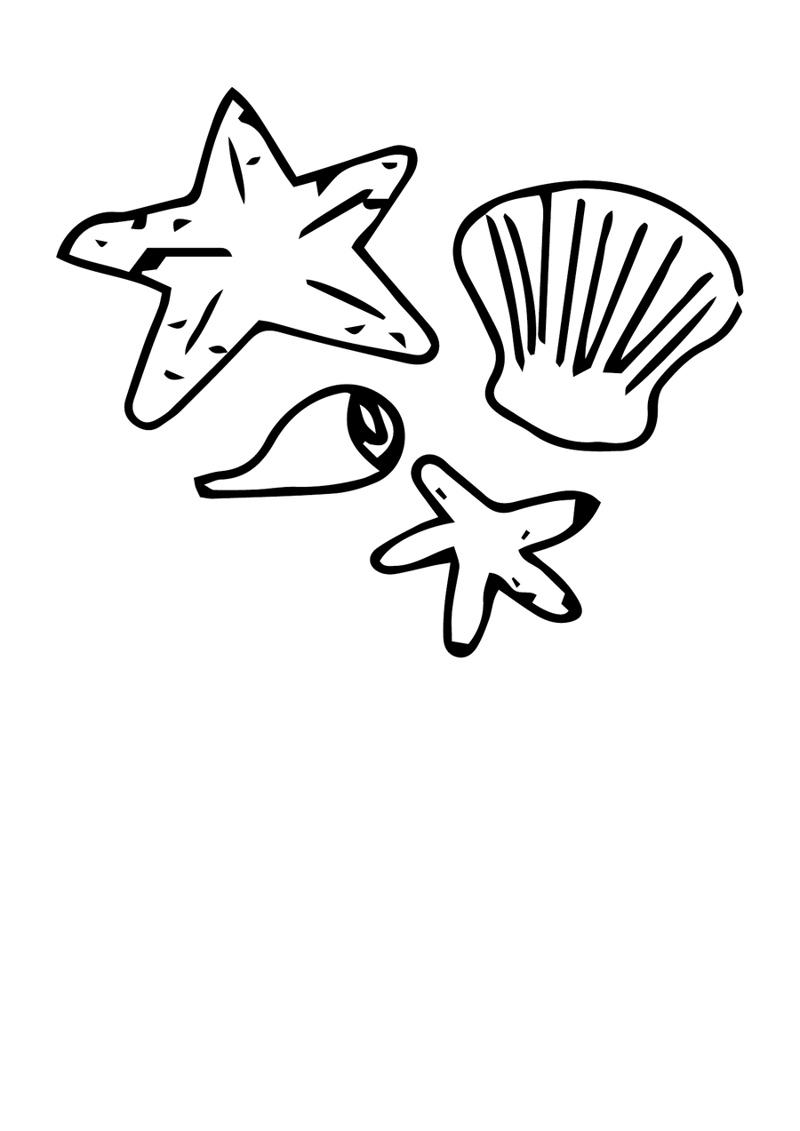Seashells