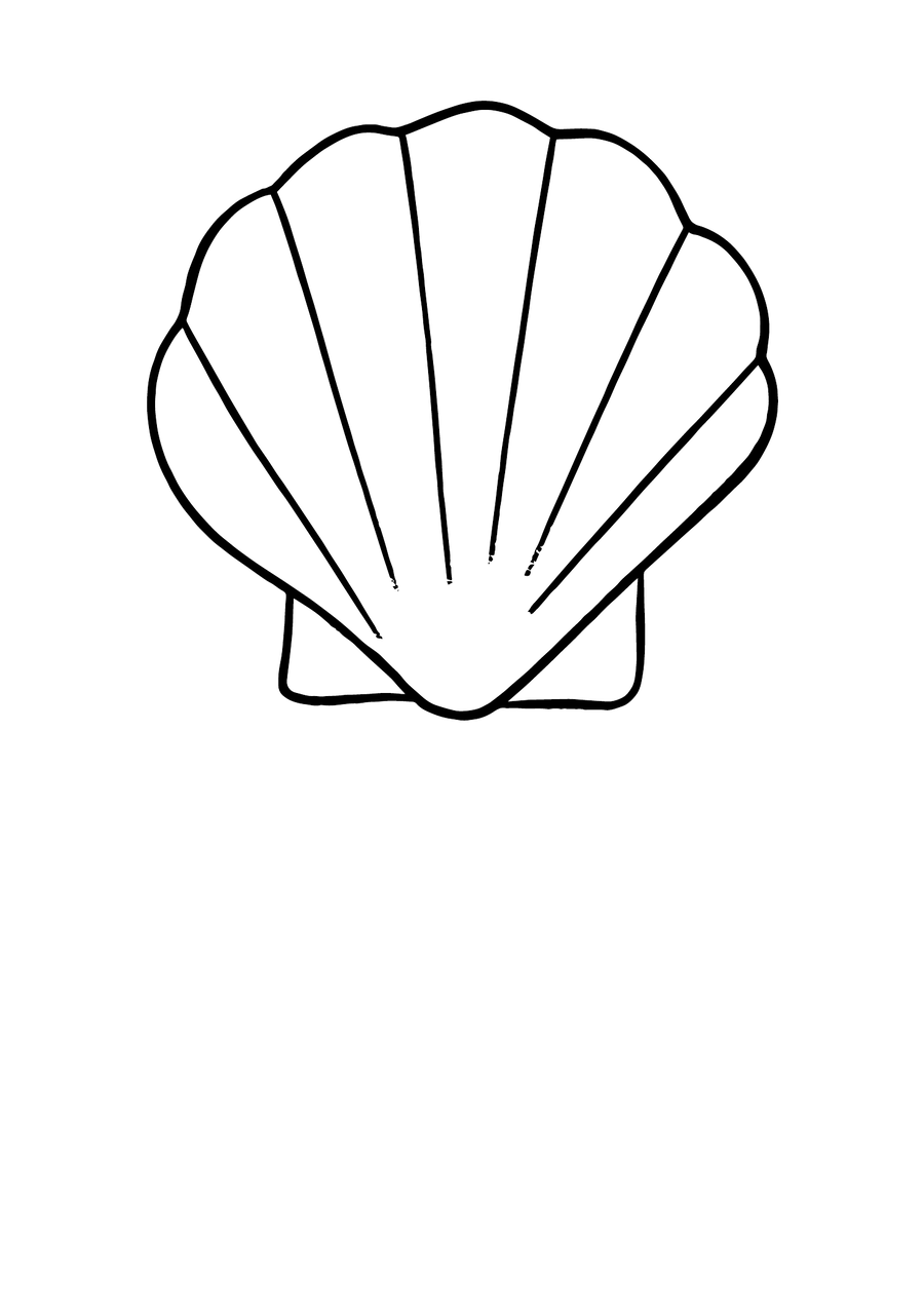 Shell